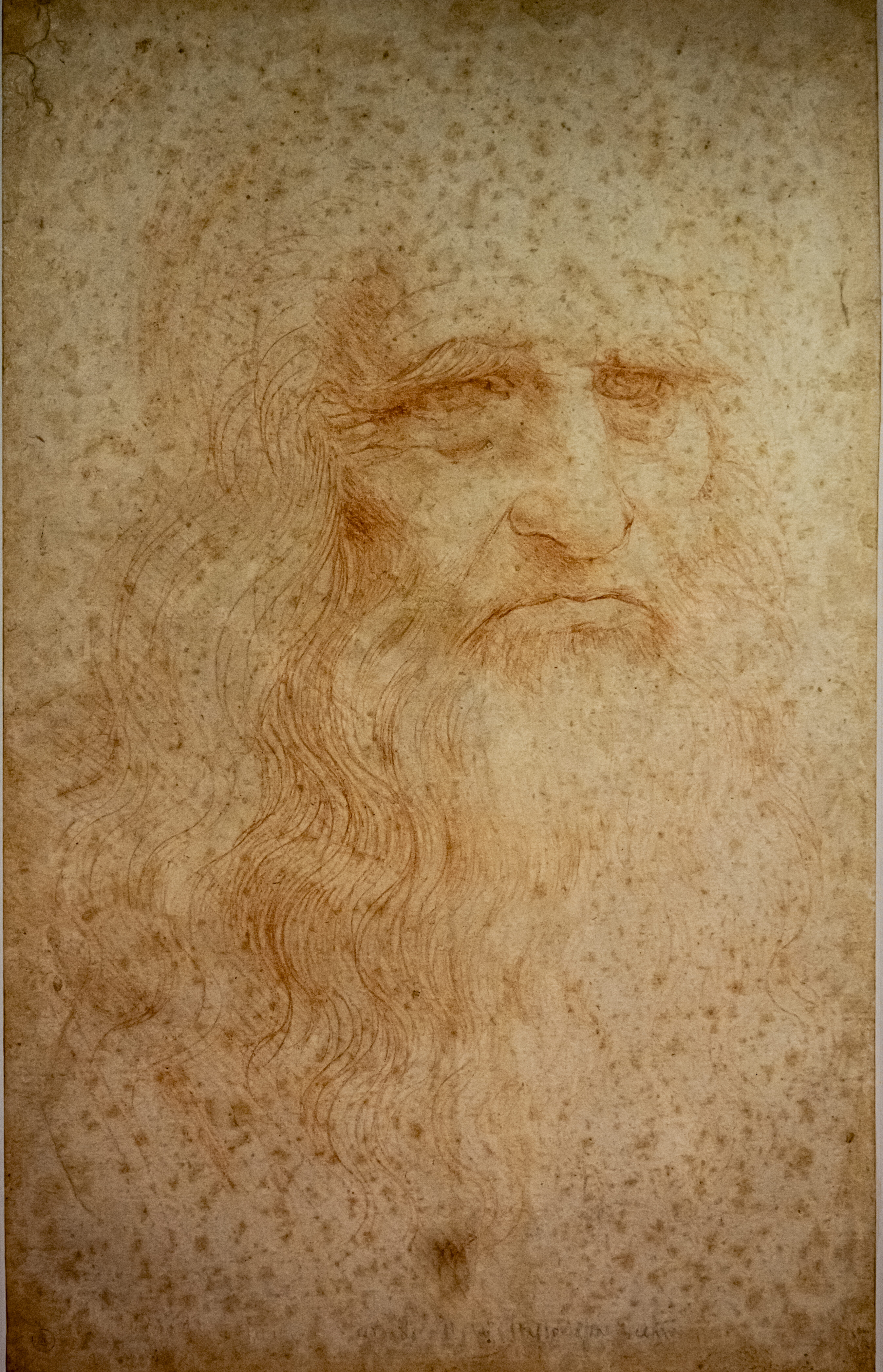 ritratto di Leonardo da Vinci - Biblioteca Reale - Torino